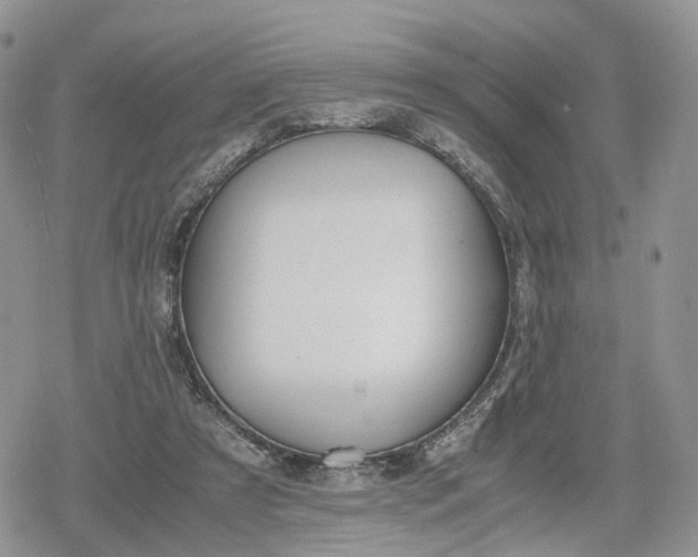 X0000078840305200611271329