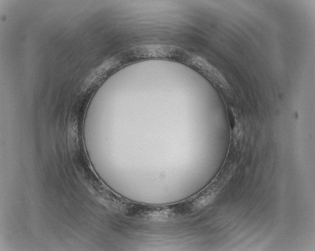 X0000078840306200611271329