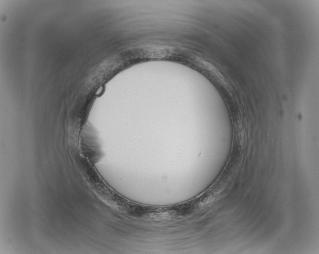 X0000078840307200611271329