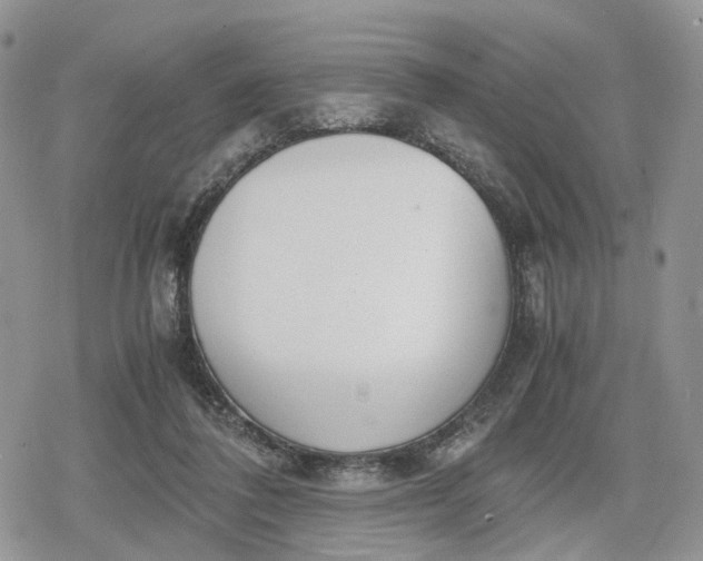 X0000078840308200611271328