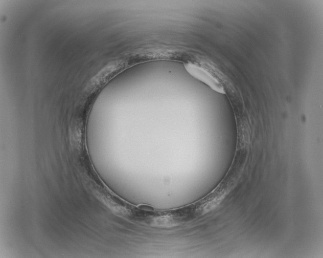 X0000078840309200611271328