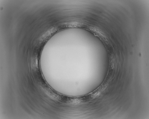 X0000078840310200611271328