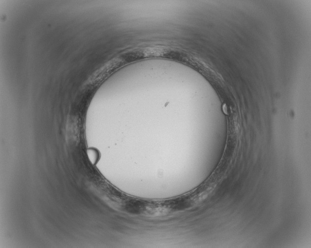 X0000078840311200611271328