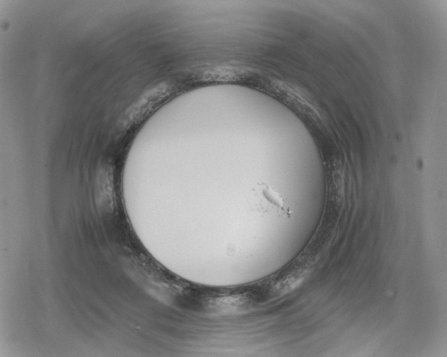 X0000078840312200611271328