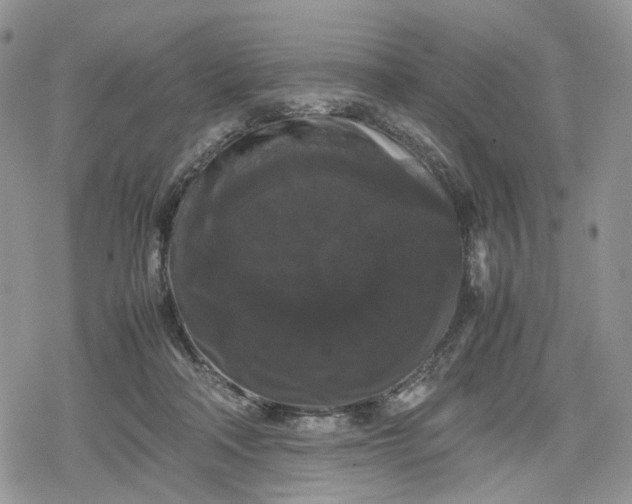 X0000078840314200611271328