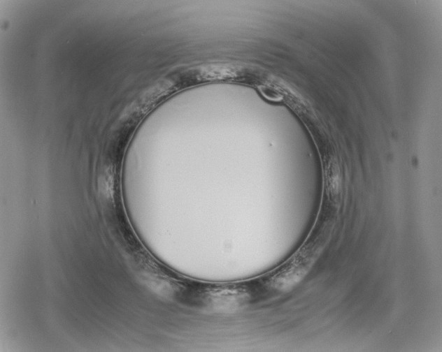 X0000078840315200611271328