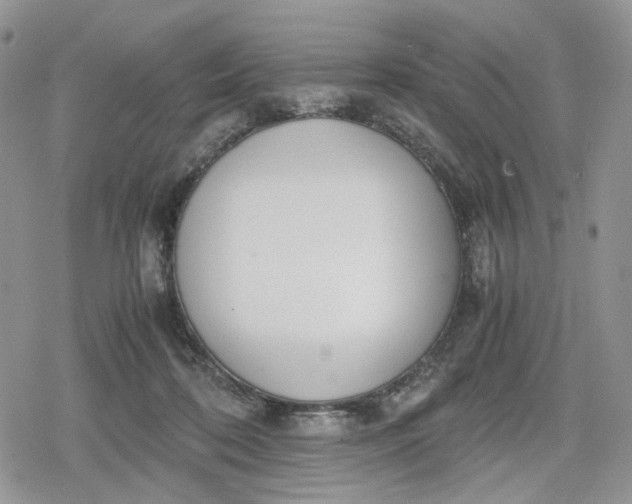 X0000078840316200611271328