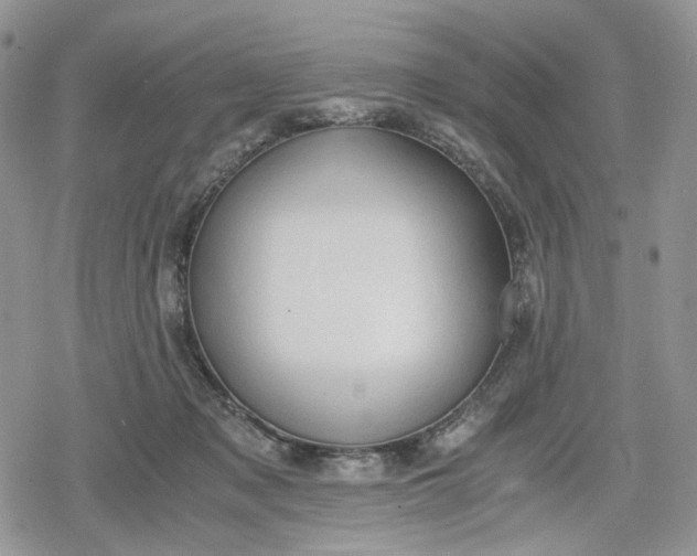 X0000078840317200611271328