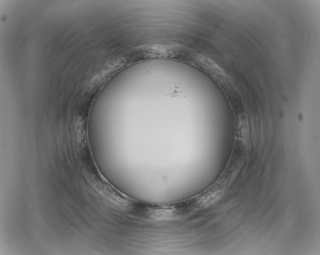 X0000078840318200611271328