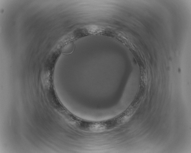 X0000078840319200611271328