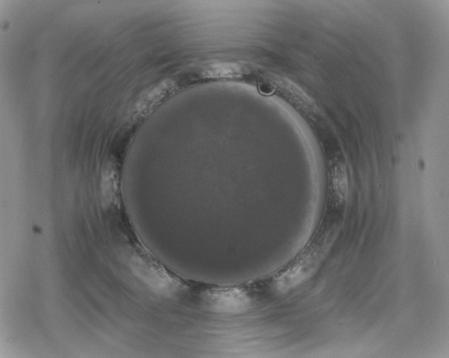 X0000078840322200611271328