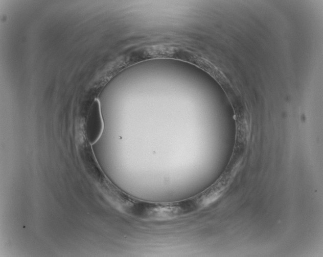 X0000078840323200611271328