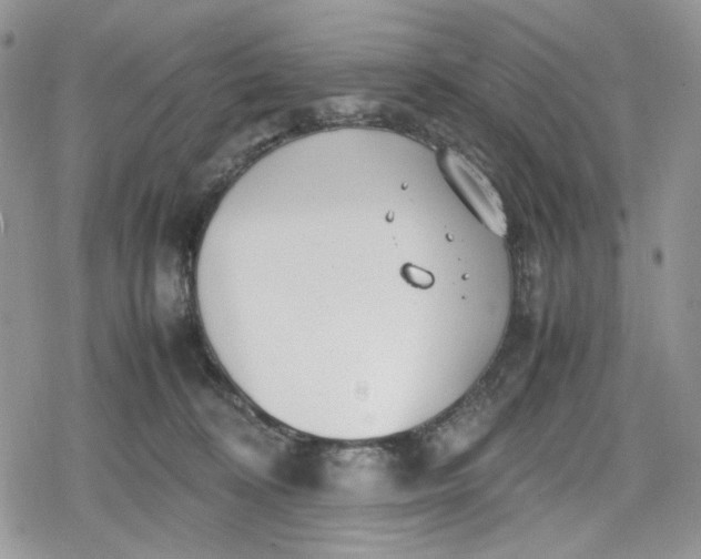 X0000078840324200611271328