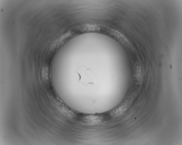 X0000078840326200611271328