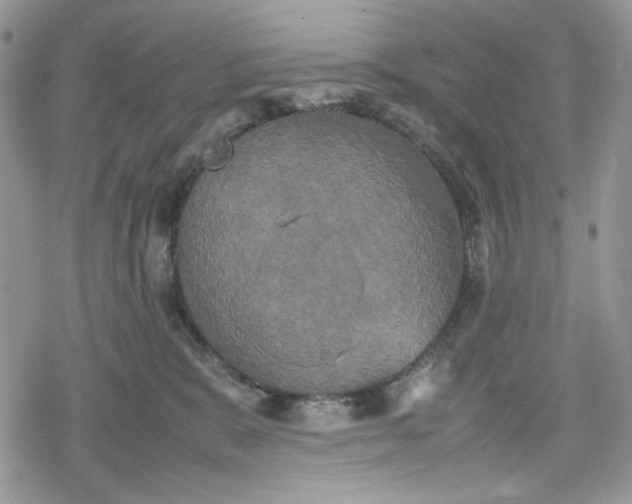 X0000078840327200611271328