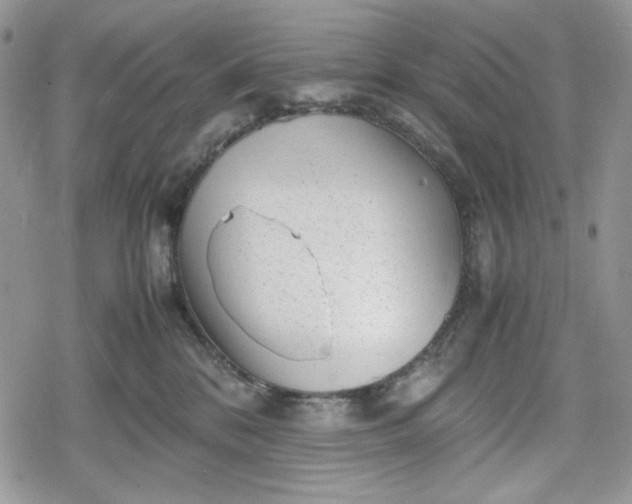 X0000078840328200611271328