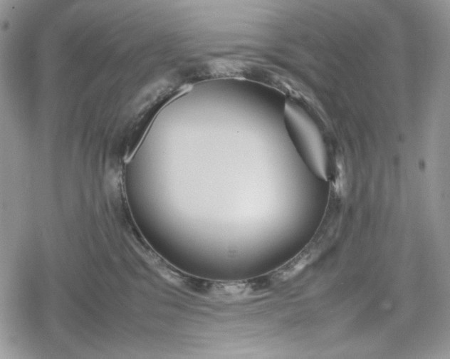 X0000078840329200611271328