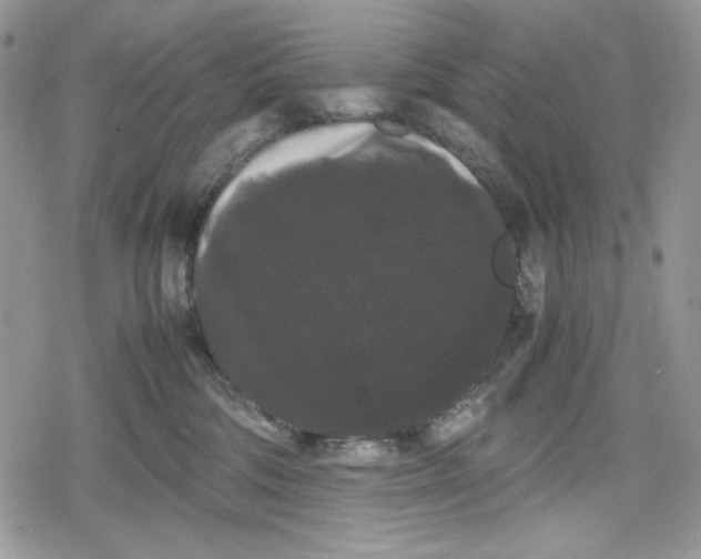 X0000078840330200611271328