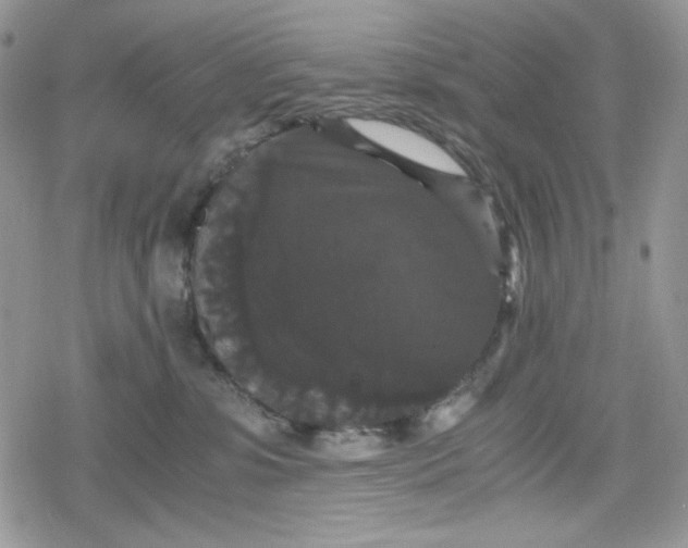 X0000078840331200611271328