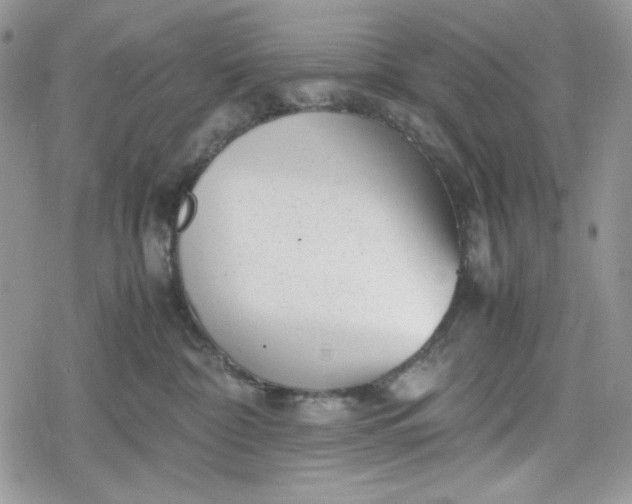 X0000078840332200611271328