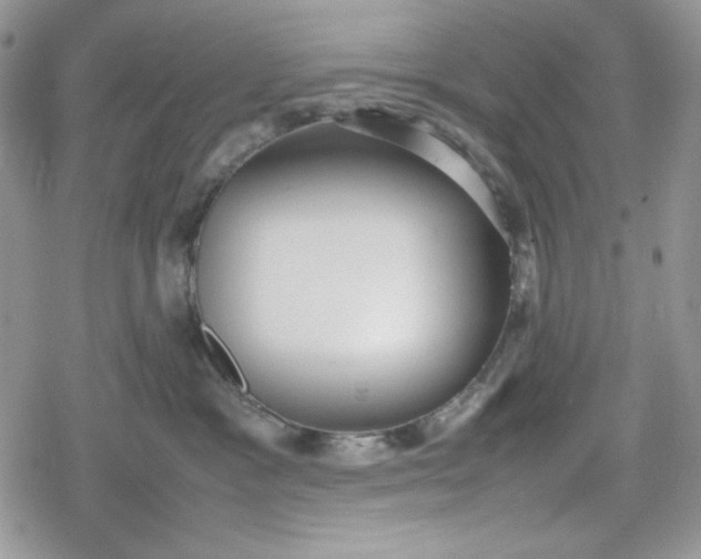 X0000078840333200611271328