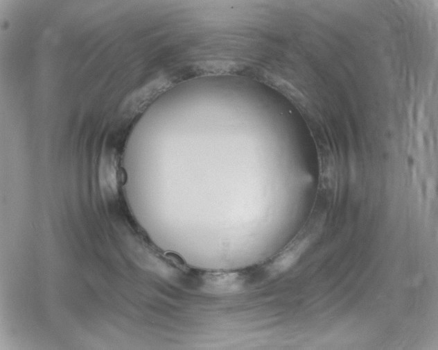 X0000078840334200611271328