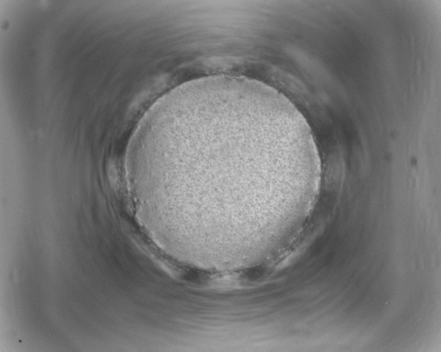 X0000078840335200611271328