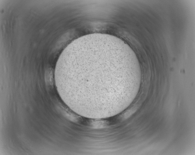 X0000078840336200611271328