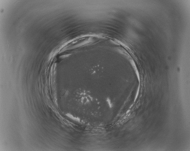 X0000078840337200611271327