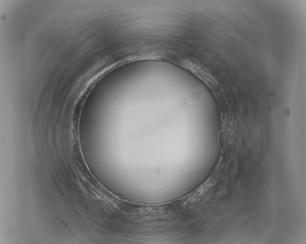 X0000078840338200611271327