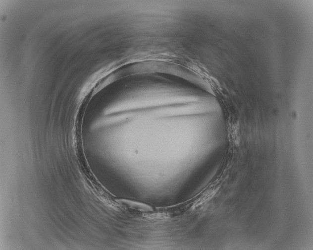 X0000078840340200611271327