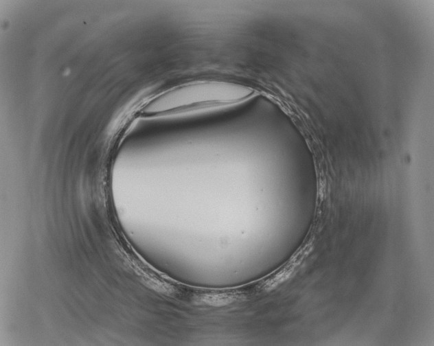 X0000078840341200611271327