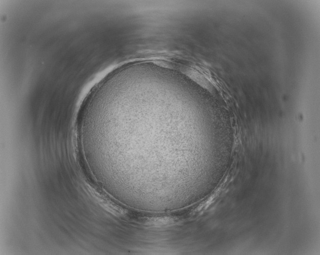 X0000078840342200611271327