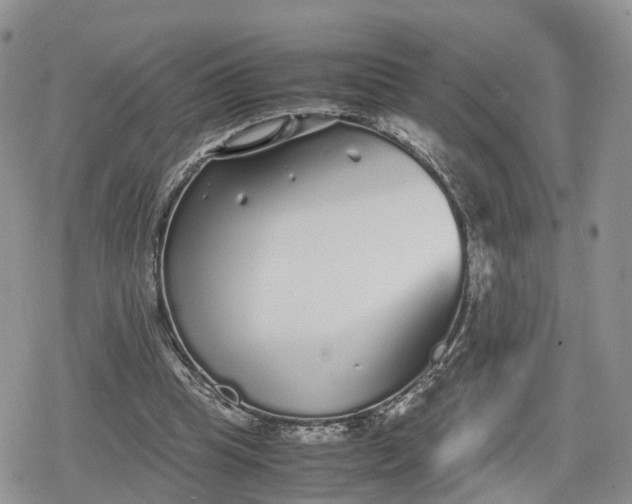 X0000078840345200611271327