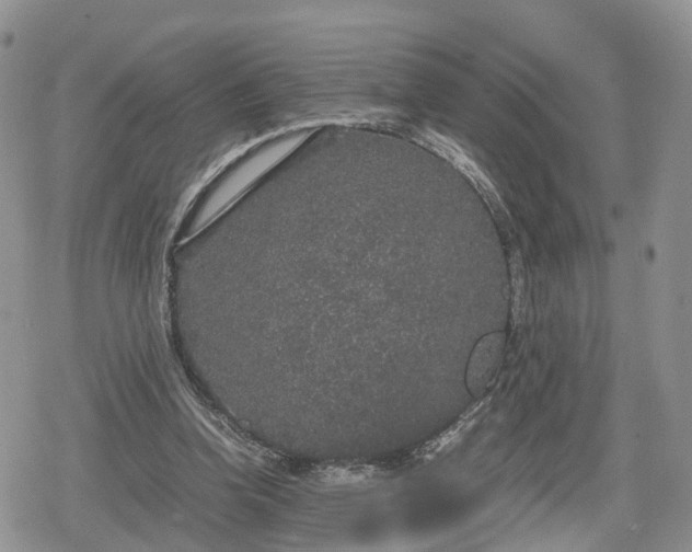 X0000078840346200611271327