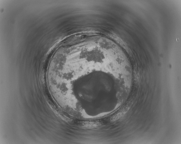 X0000078840347200611271327