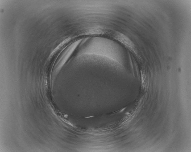 X0000078840348200611271327