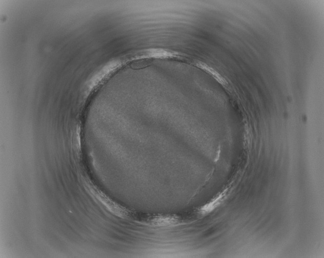 X0000078840350200611271327