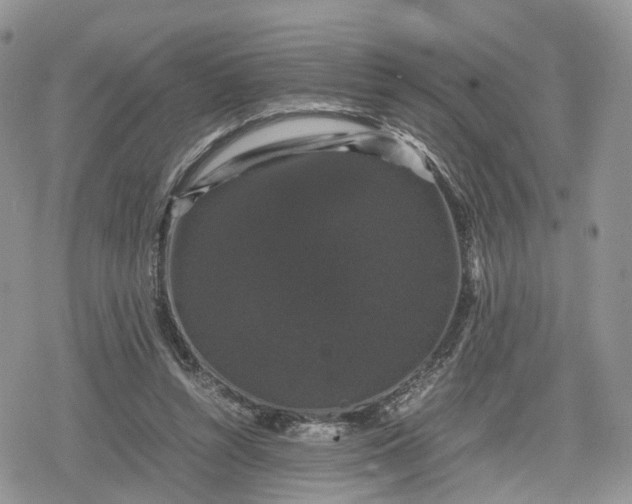 X0000078840352200611271327