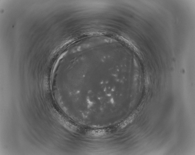 X0000078840353200611271328