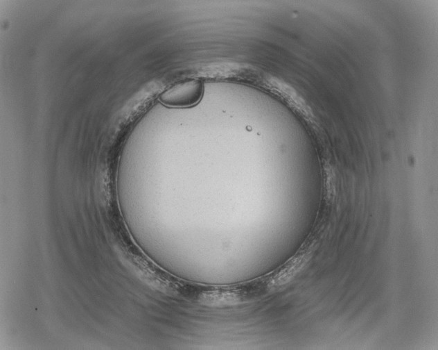 X0000078840354200611271328