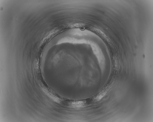 X0000078840357200611271328