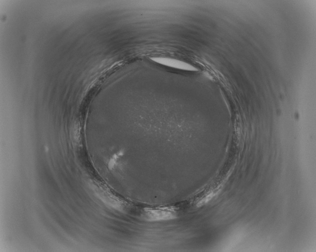 X0000078840359200611271328