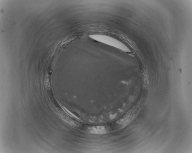 X0000078840361200611271328