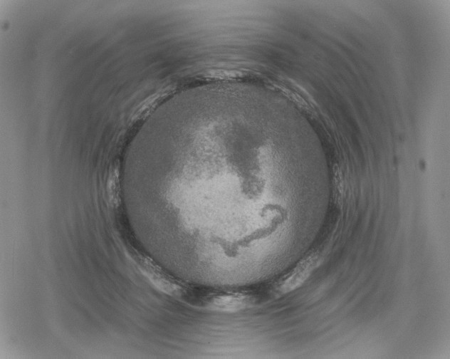 X0000078840364200611271328