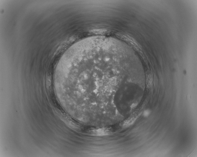 X0000078840365200611271328