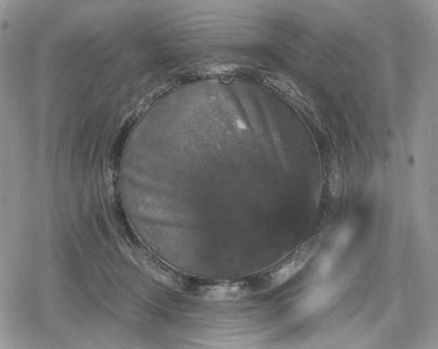 X0000078840366200611271328