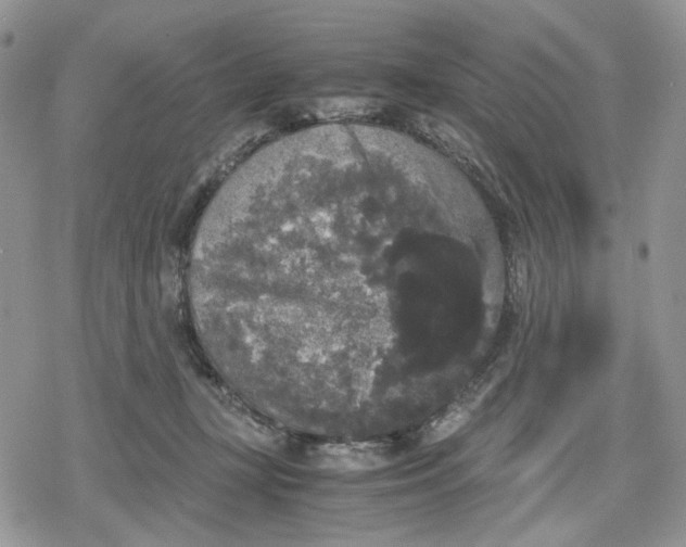 X0000078840367200611271328