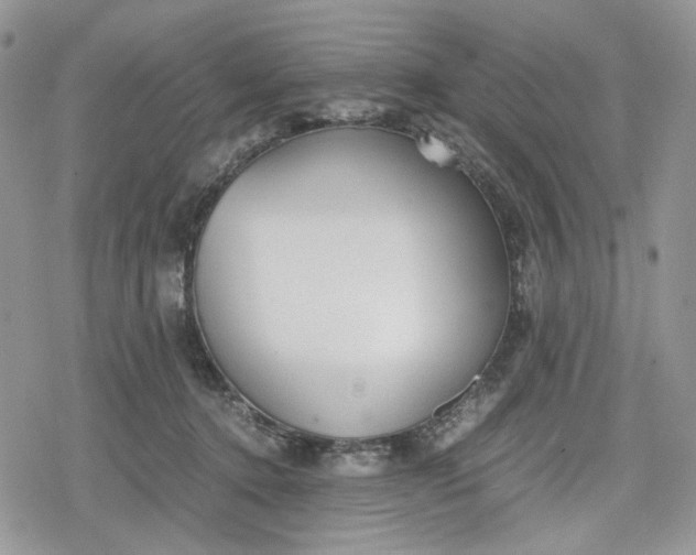 X0000078840368200611271328