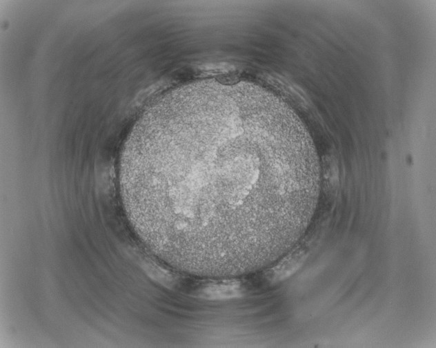 X0000078840369200611271328